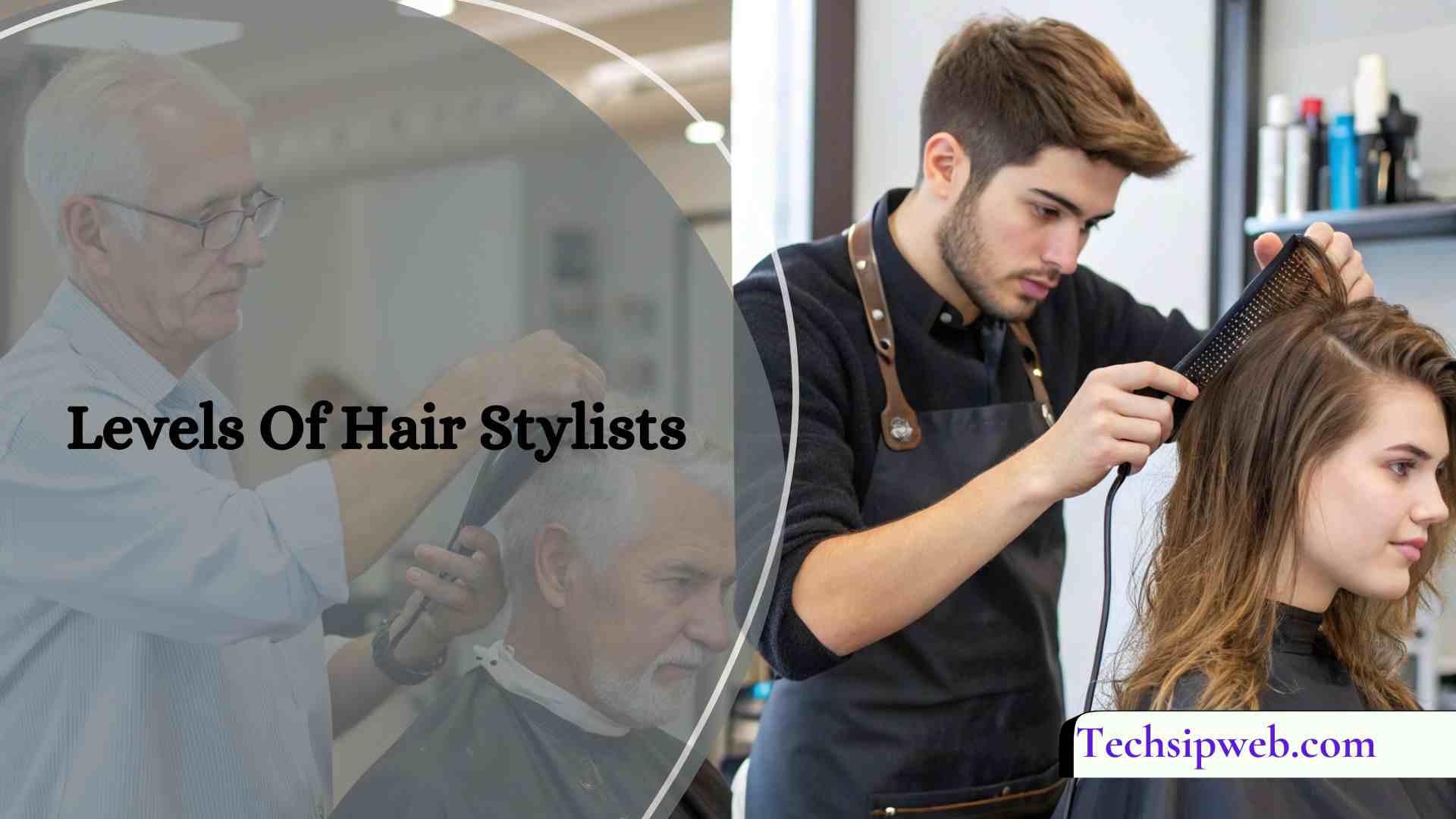 Levels Of Hair Stylists